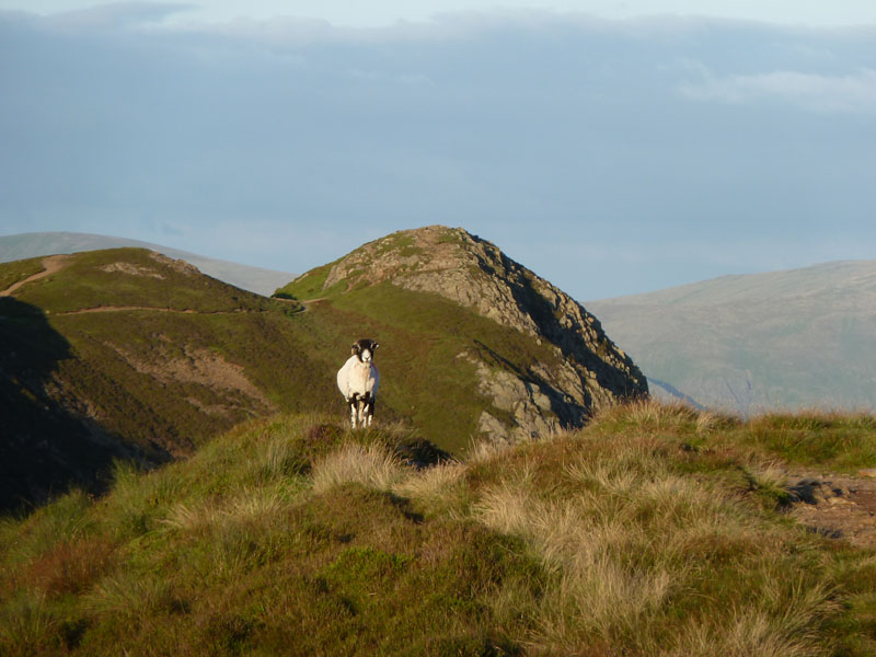 Causey Pike